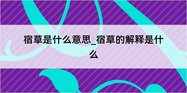 宿草是什么意思_宿草的解释是什么