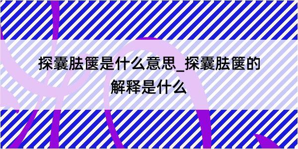 探囊胠箧是什么意思_探囊胠箧的解释是什么