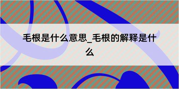 毛根是什么意思_毛根的解释是什么