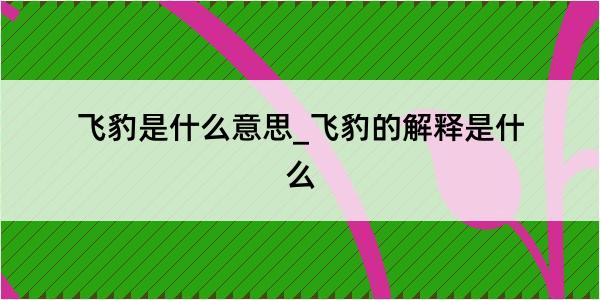 飞豹是什么意思_飞豹的解释是什么