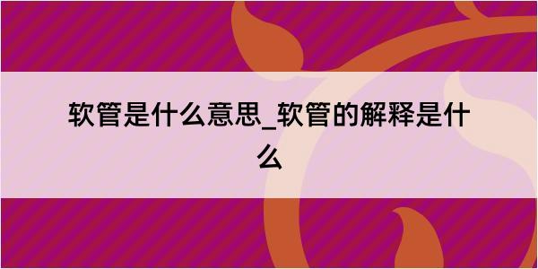 软管是什么意思_软管的解释是什么