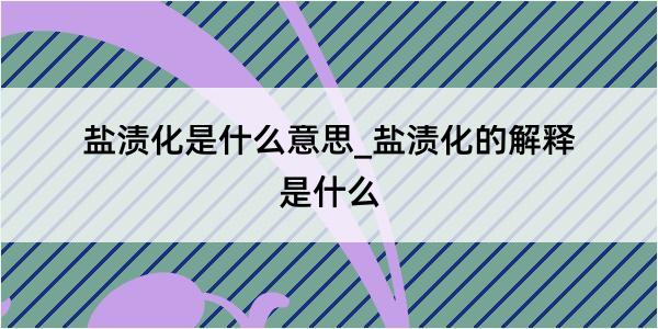 盐渍化是什么意思_盐渍化的解释是什么