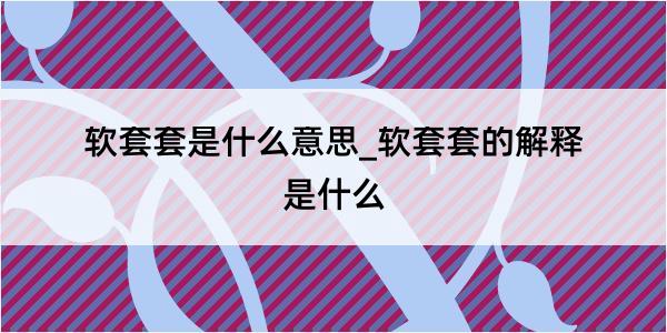 软套套是什么意思_软套套的解释是什么