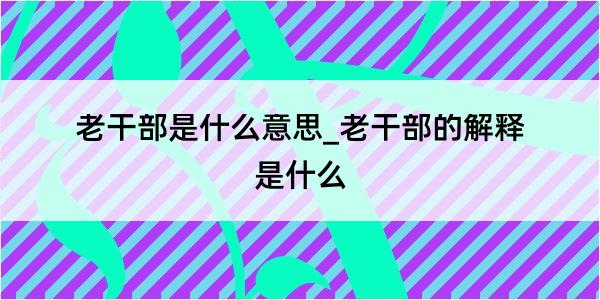 老干部是什么意思_老干部的解释是什么