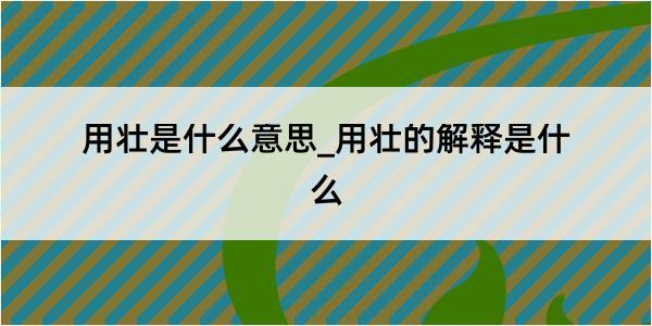 用壮是什么意思_用壮的解释是什么