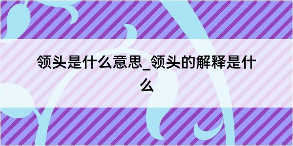 领头是什么意思_领头的解释是什么