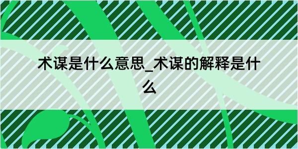 术谋是什么意思_术谋的解释是什么