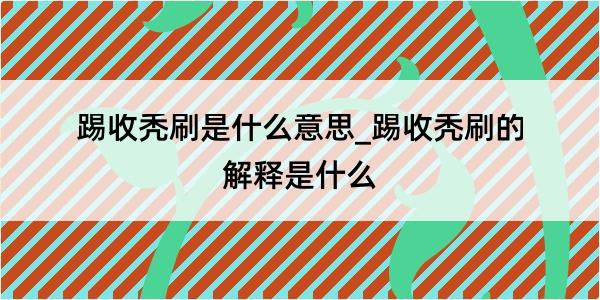 踢收秃刷是什么意思_踢收秃刷的解释是什么