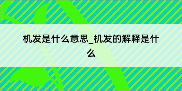 机发是什么意思_机发的解释是什么