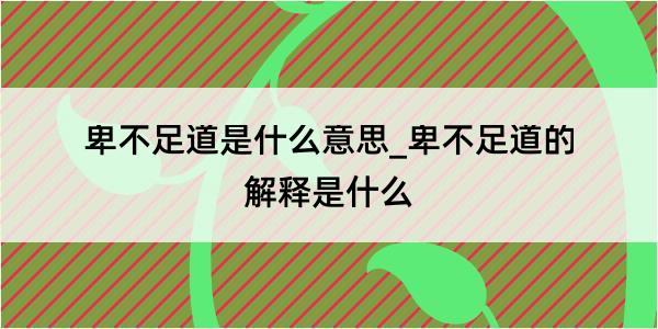 卑不足道是什么意思_卑不足道的解释是什么