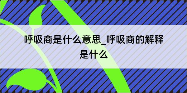 呼吸商是什么意思_呼吸商的解释是什么