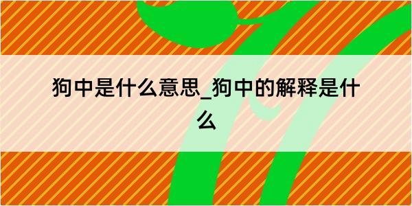 狗中是什么意思_狗中的解释是什么