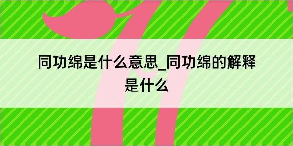 同功绵是什么意思_同功绵的解释是什么