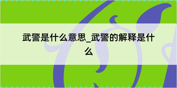 武警是什么意思_武警的解释是什么