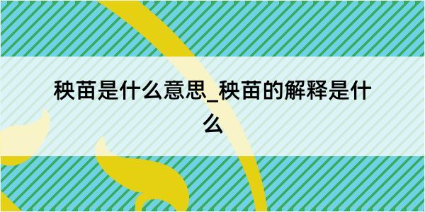 秧苗是什么意思_秧苗的解释是什么