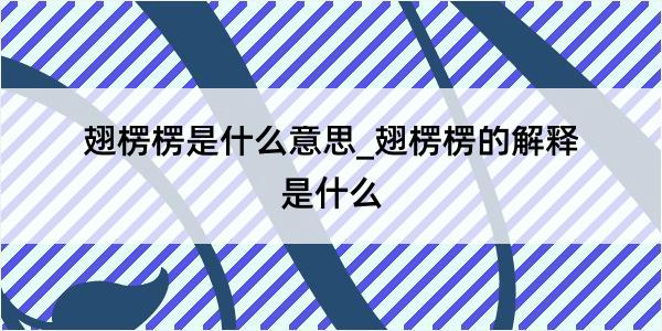 翅楞楞是什么意思_翅楞楞的解释是什么