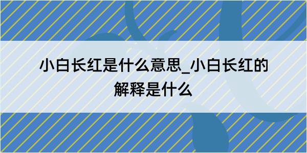 小白长红是什么意思_小白长红的解释是什么