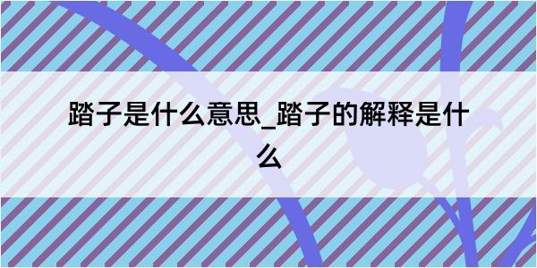 踏子是什么意思_踏子的解释是什么