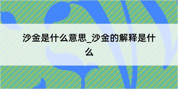 沙金是什么意思_沙金的解释是什么