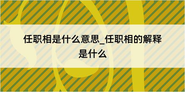 任职相是什么意思_任职相的解释是什么