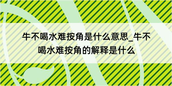 牛不喝水难按角是什么意思_牛不喝水难按角的解释是什么