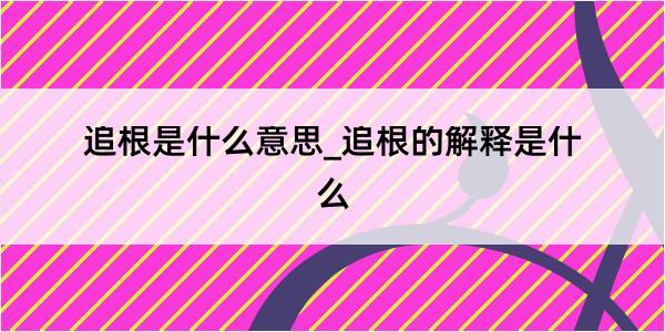 追根是什么意思_追根的解释是什么