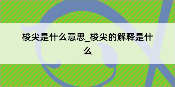 梭尖是什么意思_梭尖的解释是什么