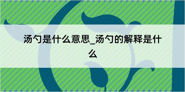 汤勺是什么意思_汤勺的解释是什么