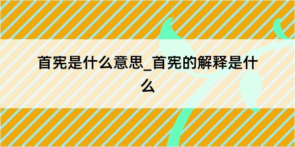 首宪是什么意思_首宪的解释是什么