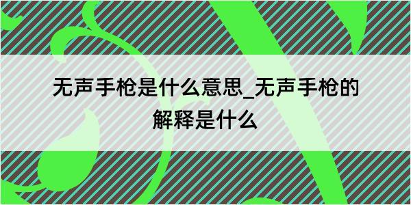 无声手枪是什么意思_无声手枪的解释是什么