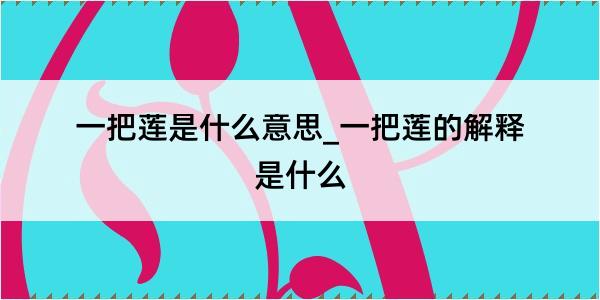 一把莲是什么意思_一把莲的解释是什么