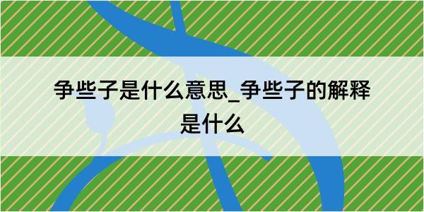 争些子是什么意思_争些子的解释是什么