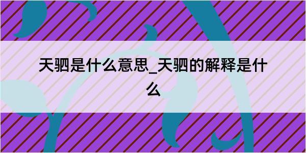 天驷是什么意思_天驷的解释是什么