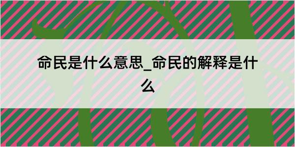 命民是什么意思_命民的解释是什么