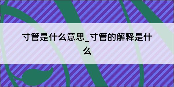 寸管是什么意思_寸管的解释是什么