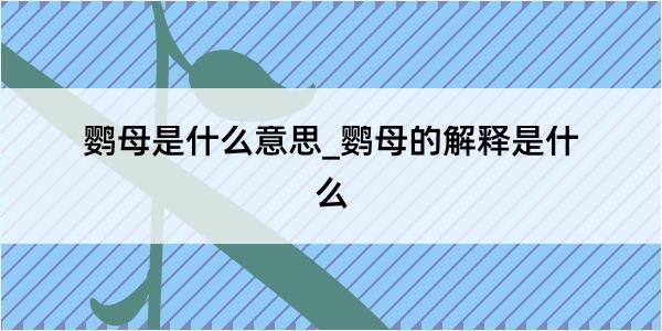 鹦母是什么意思_鹦母的解释是什么