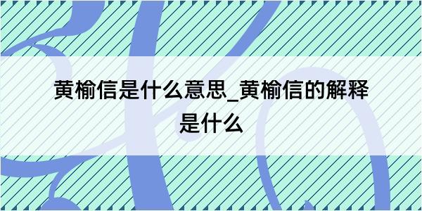 黄榆信是什么意思_黄榆信的解释是什么