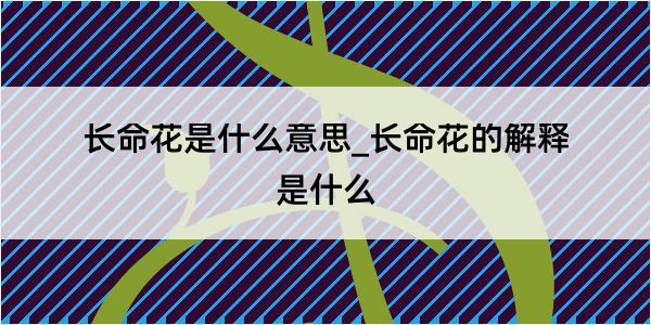 长命花是什么意思_长命花的解释是什么