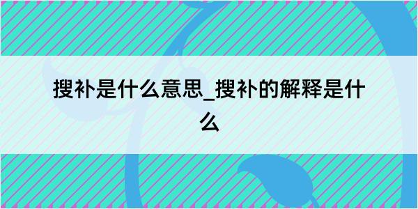 搜补是什么意思_搜补的解释是什么