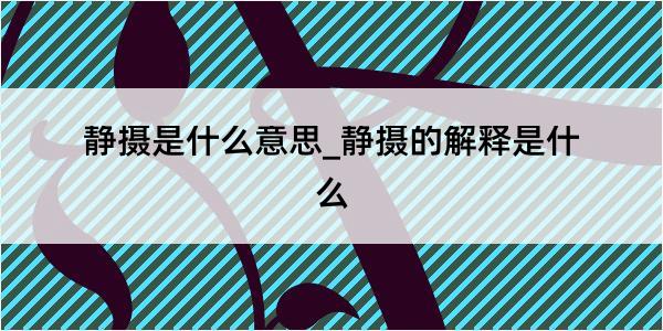 静摄是什么意思_静摄的解释是什么