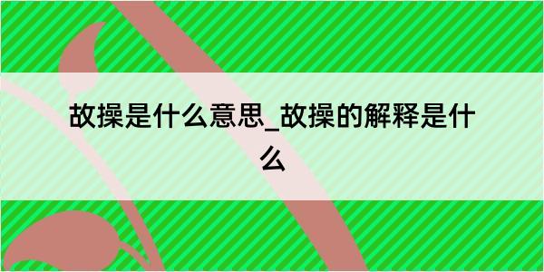 故操是什么意思_故操的解释是什么