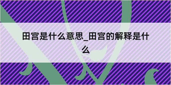 田宫是什么意思_田宫的解释是什么