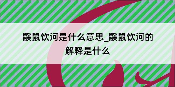 鼷鼠饮河是什么意思_鼷鼠饮河的解释是什么