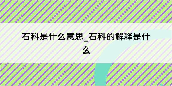 石科是什么意思_石科的解释是什么