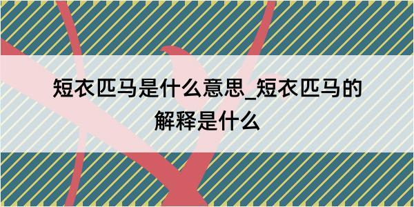 短衣匹马是什么意思_短衣匹马的解释是什么