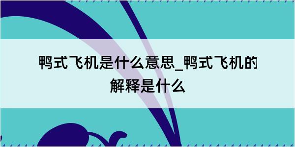 鸭式飞机是什么意思_鸭式飞机的解释是什么