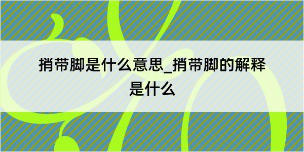 捎带脚是什么意思_捎带脚的解释是什么