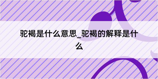 驼褐是什么意思_驼褐的解释是什么