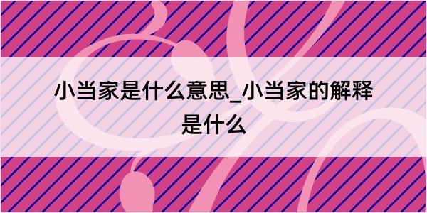 小当家是什么意思_小当家的解释是什么