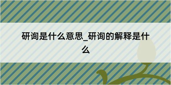 研询是什么意思_研询的解释是什么